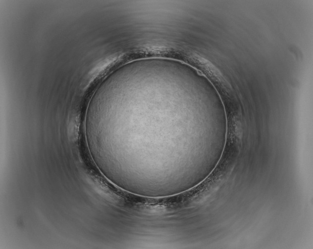 X0000112490640200908171248