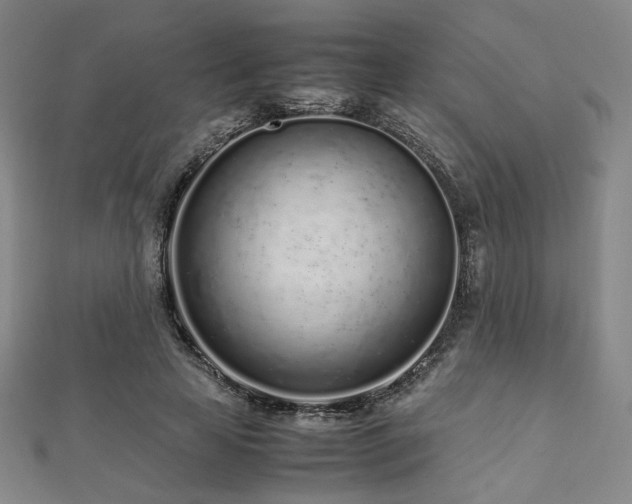 X0000112490641200908171248