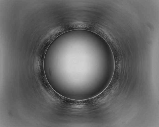 X0000112490643200908171248