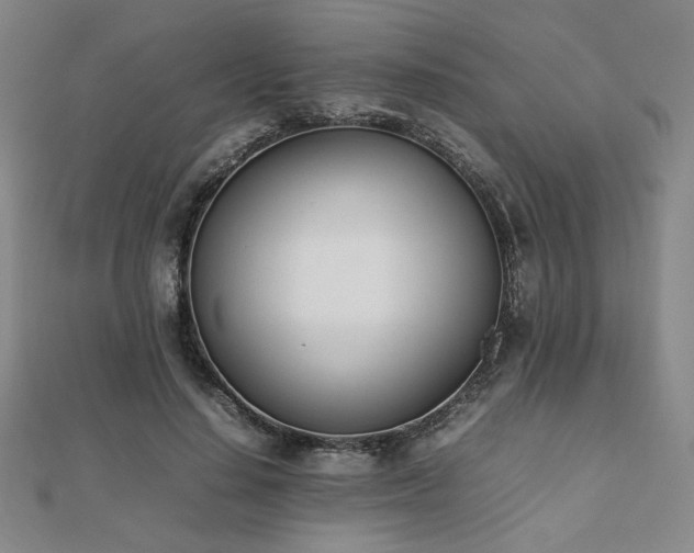 X0000112490644200908171248