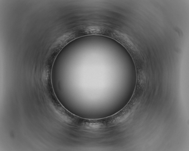 X0000112490645200908171248