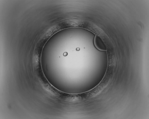 X0000112490646200908171248