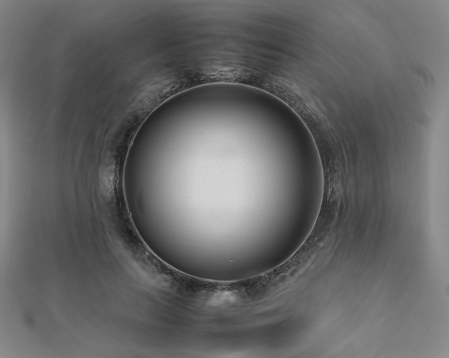 X0000112490647200908171248