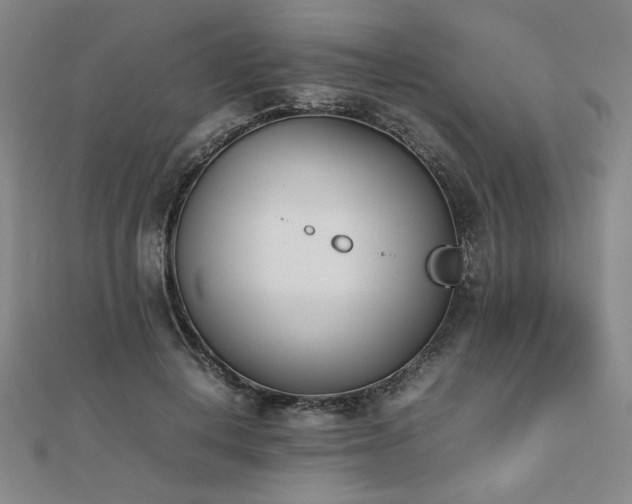 X0000112490648200908171248
