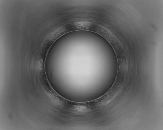 X0000112490649200908171248