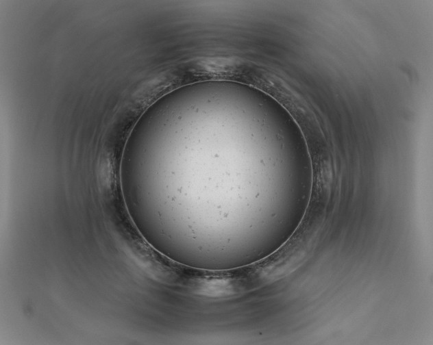 X0000112490651200908171248
