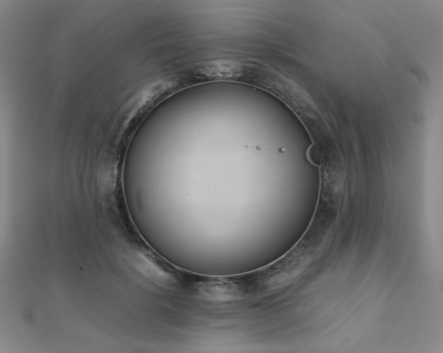 X0000112490652200908171248