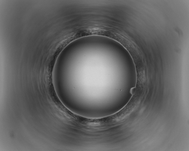 X0000112490653200908171248