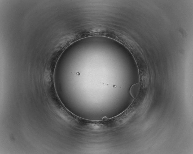 X0000112490654200908171248