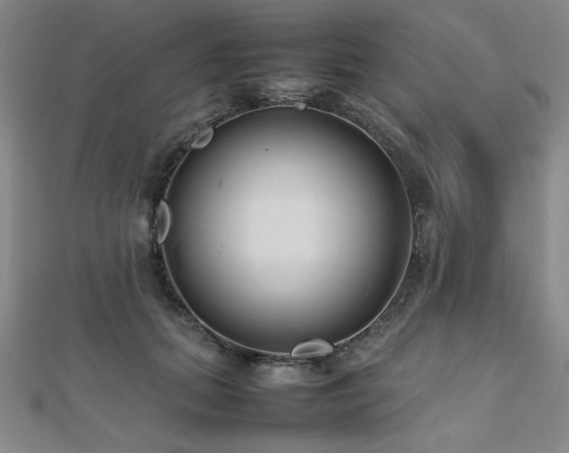 X0000112490655200908171248