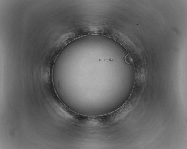 X0000112490656200908171248