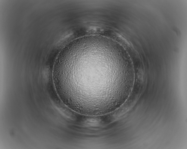 X0000112490659200908171248