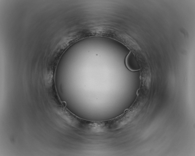 X0000112490660200908171248