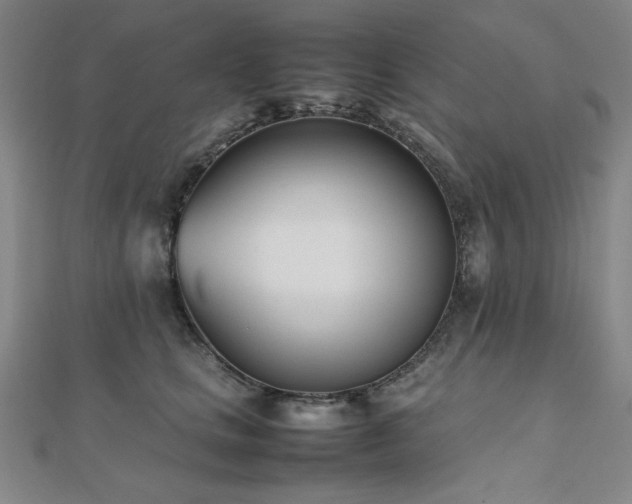 X0000112490661200908171248