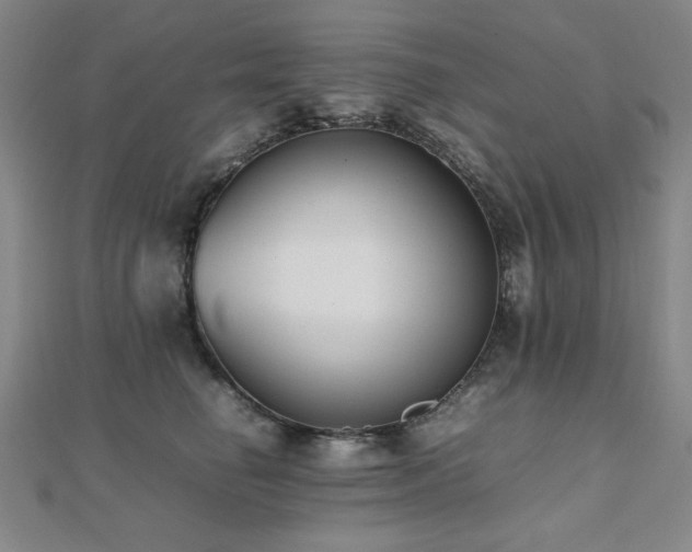 X0000112490662200908171248