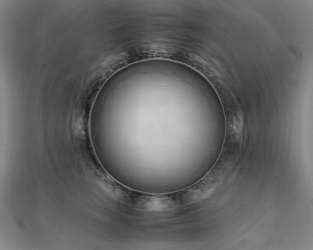 X0000112490663200908171248