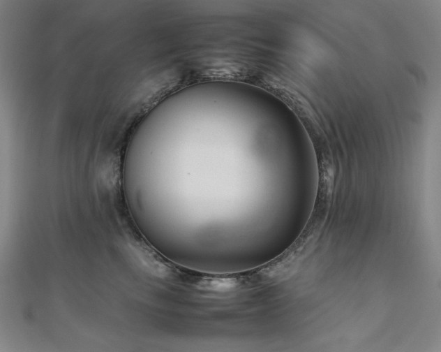 X0000112490665200908171248