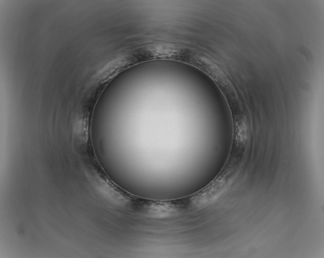 X0000112490666200908171248