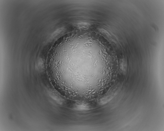 X0000112490667200908171248