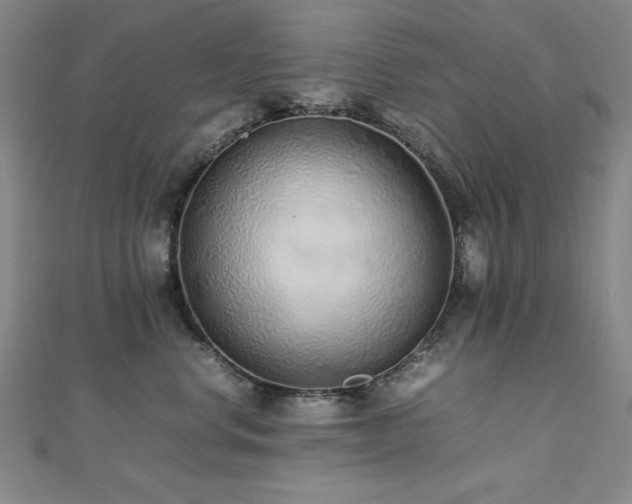X0000112490668200908171248