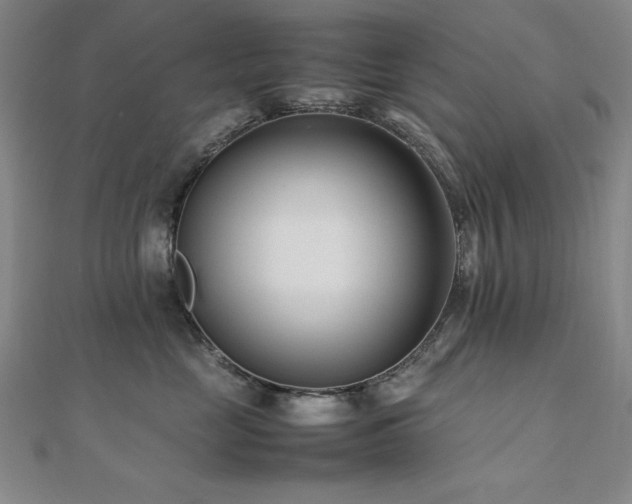 X0000112490669200908171248
