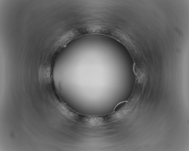 X0000112490670200908171248