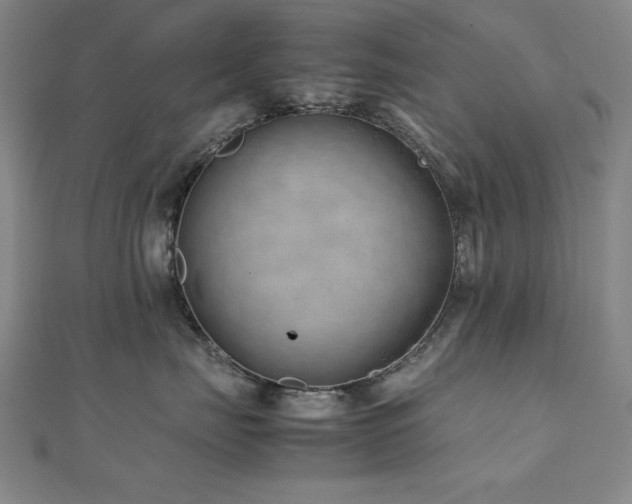 X0000112490671200908171248