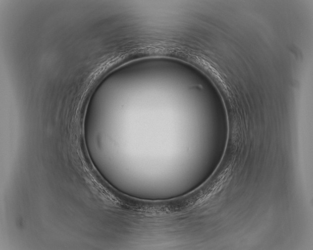 X0000112490673200908171248