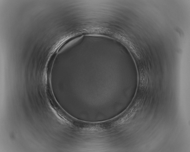 X0000112490674200908171248