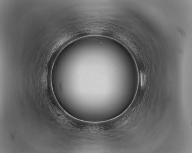 X0000112490675200908171248