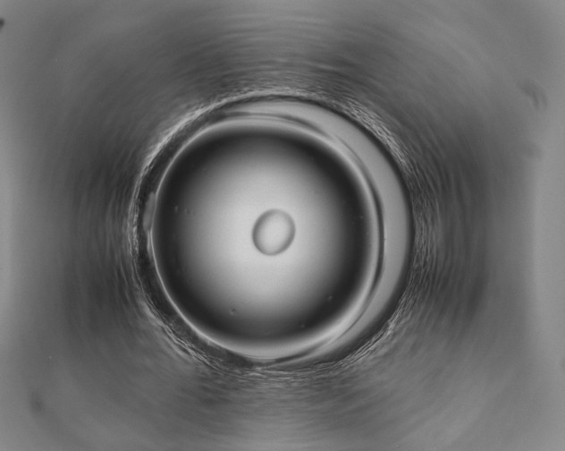 X0000112490676200908171248