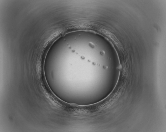 X0000112490677200908171248