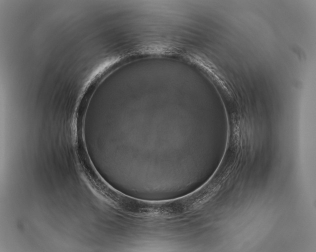 X0000112490678200908171248