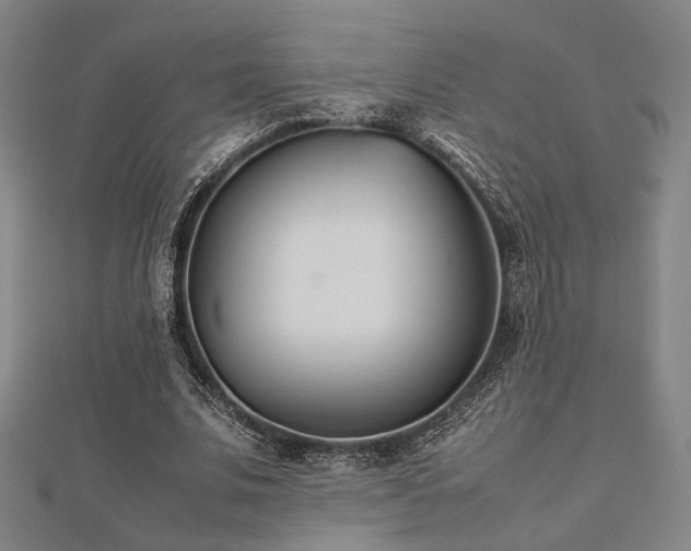 X0000112490679200908171248