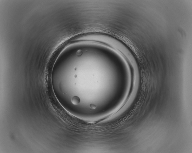 X0000112490680200908171248