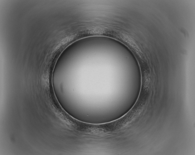 X0000112490681200908171248