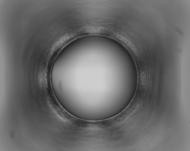 X0000112490682200908171248
