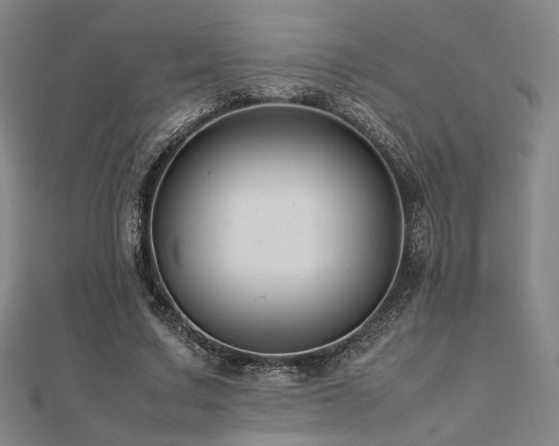 X0000112490683200908171248