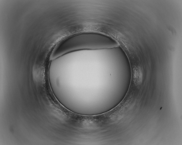 X0000112490684200908171248