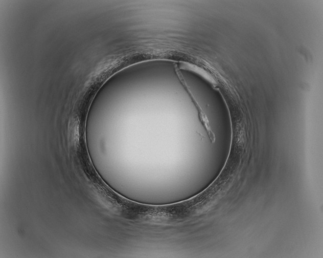 X0000112490685200908171248
