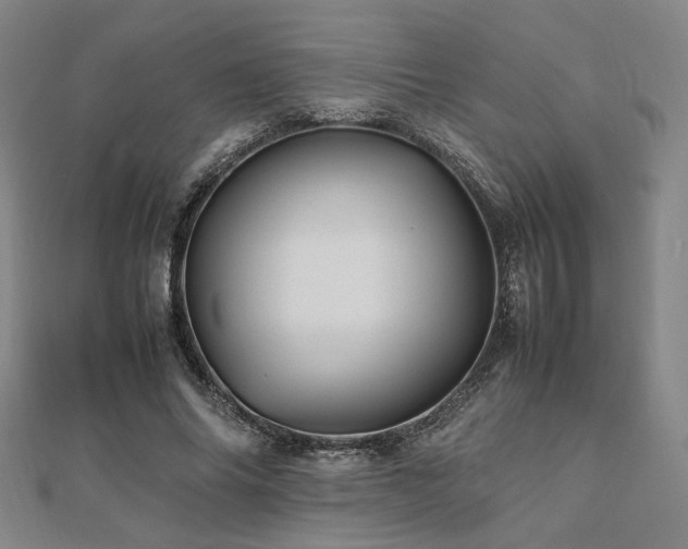 X0000112490686200908171248