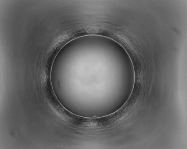 X0000112490687200908171248