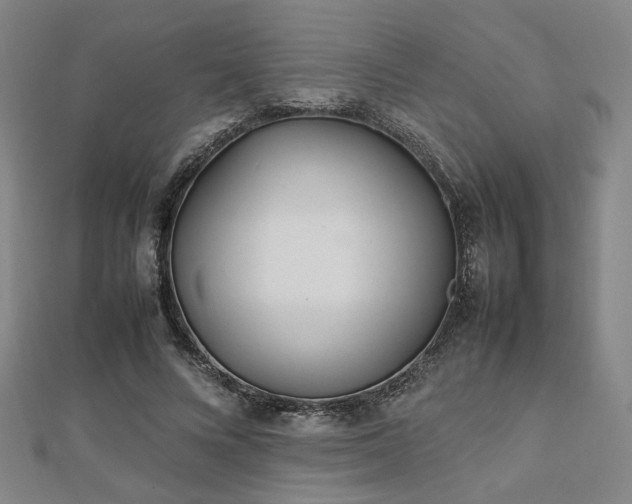 X0000112490688200908171248