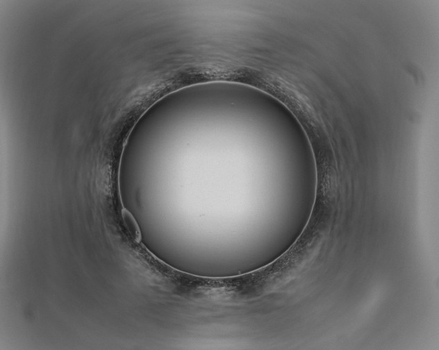 X0000112490689200908171247