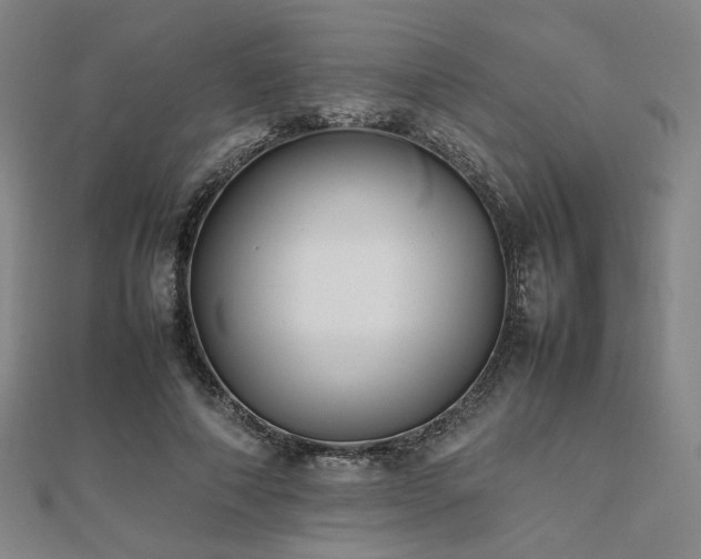 X0000112490690200908171247