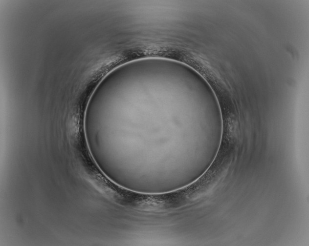 X0000112490691200908171247