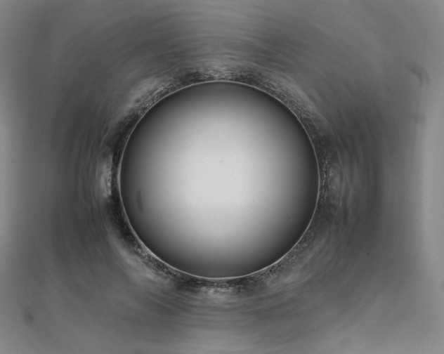 X0000112490694200908171247