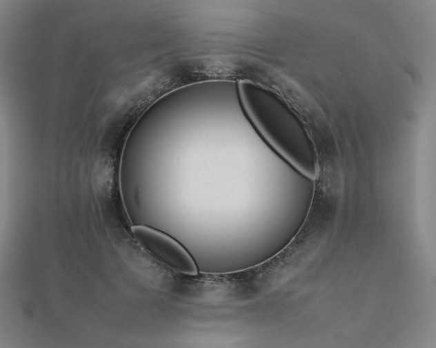 X0000112490697200908171247