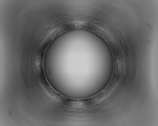 X0000112490698200908171247