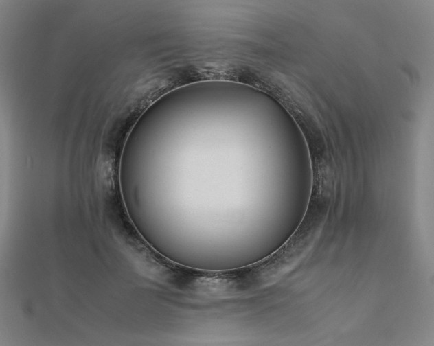 X0000112490699200908171247